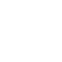 Alternate Text